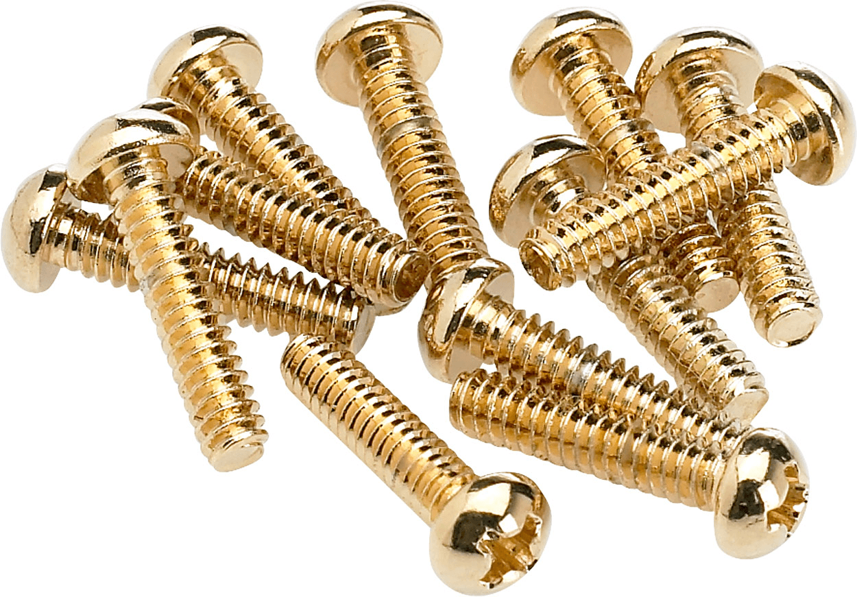 Pickup and Selector Switch Mounting Screws (12)